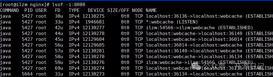 谁在用你的端口 ？运维1秒定位 ！